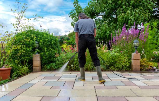 Best Sidewalk and Walkway Pressure Cleaning in New Tazewell, TN