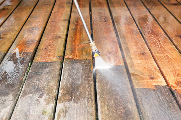 Professional Pressure Washing Services in New Tazewell, TN